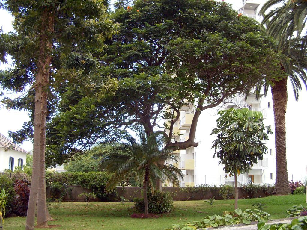 Casa Branca Apartments By Wanderlust Madeira, Vacation Rentals Фуншал Экстерьер фото